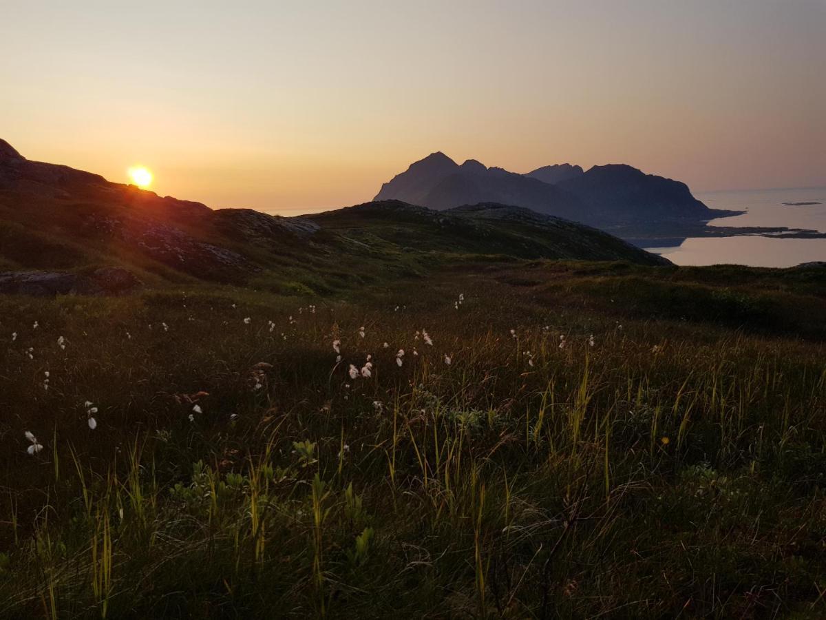 Villa Walter Lofoten With Sauna Kvalnes  Bagian luar foto
