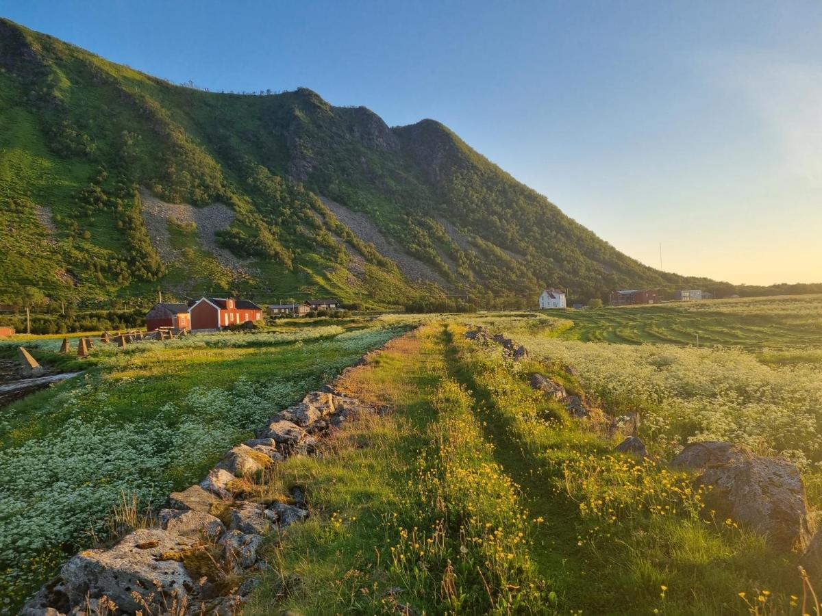 Villa Walter Lofoten With Sauna Kvalnes  Bagian luar foto