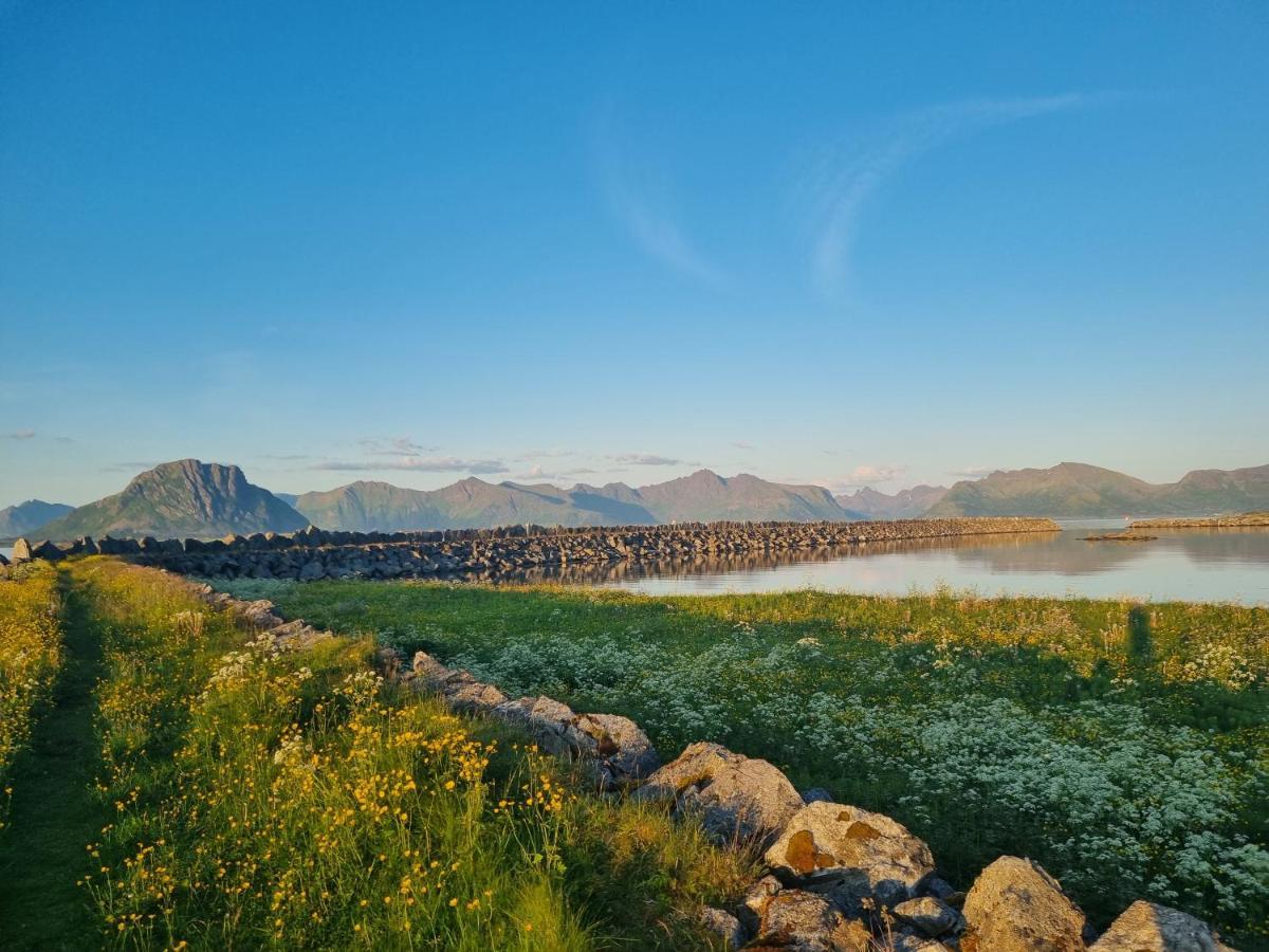 Villa Walter Lofoten With Sauna Kvalnes  Bagian luar foto