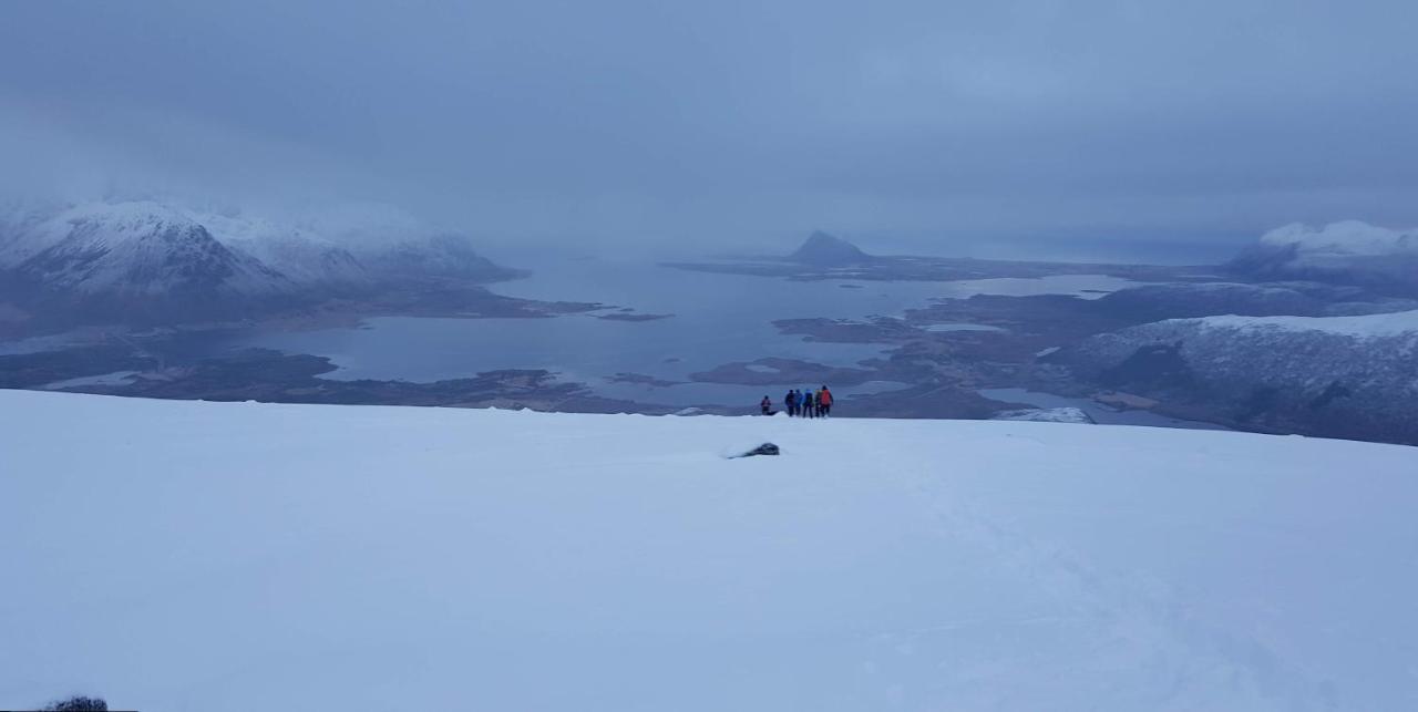 Villa Walter Lofoten With Sauna Kvalnes  Bagian luar foto
