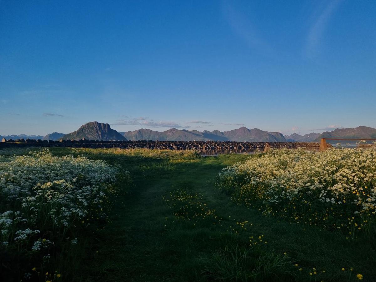 Villa Walter Lofoten With Sauna Kvalnes  Bagian luar foto